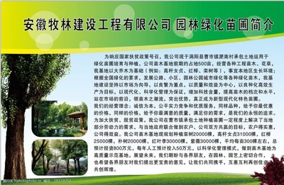 匠心苗圃 綠動未來——園林綠化苗圃培育與銷售簡介